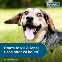 Seresto Small Dog Flea & Tick Collar 8 Months – Essence Enclave