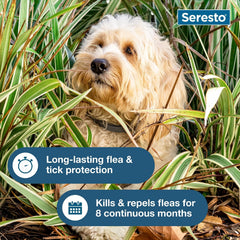 Seresto Small Dog Flea & Tick Collar 8 Months – Essence Enclave