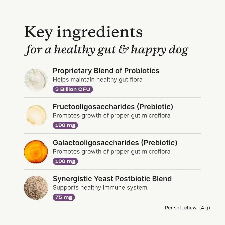 PetLabCo Probiotic Chews for Dogs 2 Pack – Essence Enclave