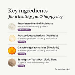 PetLabCo Probiotic Chews for Dogs 2 Pack – Essence Enclave
